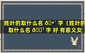 姓叶的取什么名 🪴 字（姓叶的取什么名 🌹 字 好 有意义女孩）